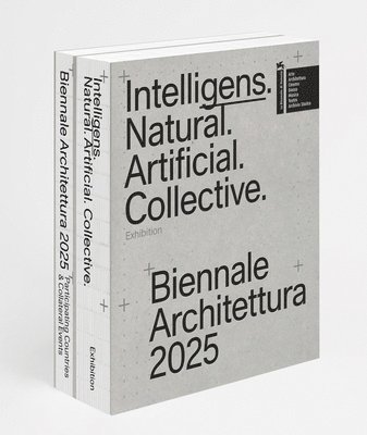 bokomslag Biennale Architettura 2025