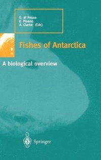 bokomslag Fishes of Antarctica
