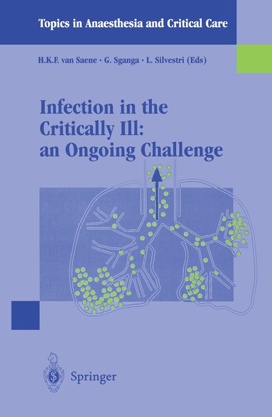 H.K.F. van Saene, G. Sganga, L. Silvestri - Infection in the Critically Ill: an Ongoing Challenge, Häftad