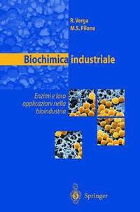 bokomslag Biochimica industriale