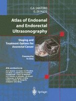 bokomslag Atlas of Endoanal and Endorectal Ultrasonography