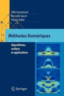 Alfio Quarteroni, Riccardo Sacco, Fausto Saleri - Méthodes Numériques, Häftad