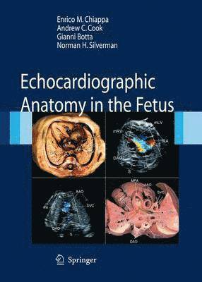 Echocardiographic Anatomy in the Fetus 1