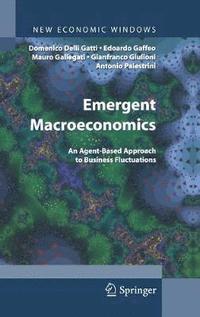 bokomslag Emergent Macroeconomics