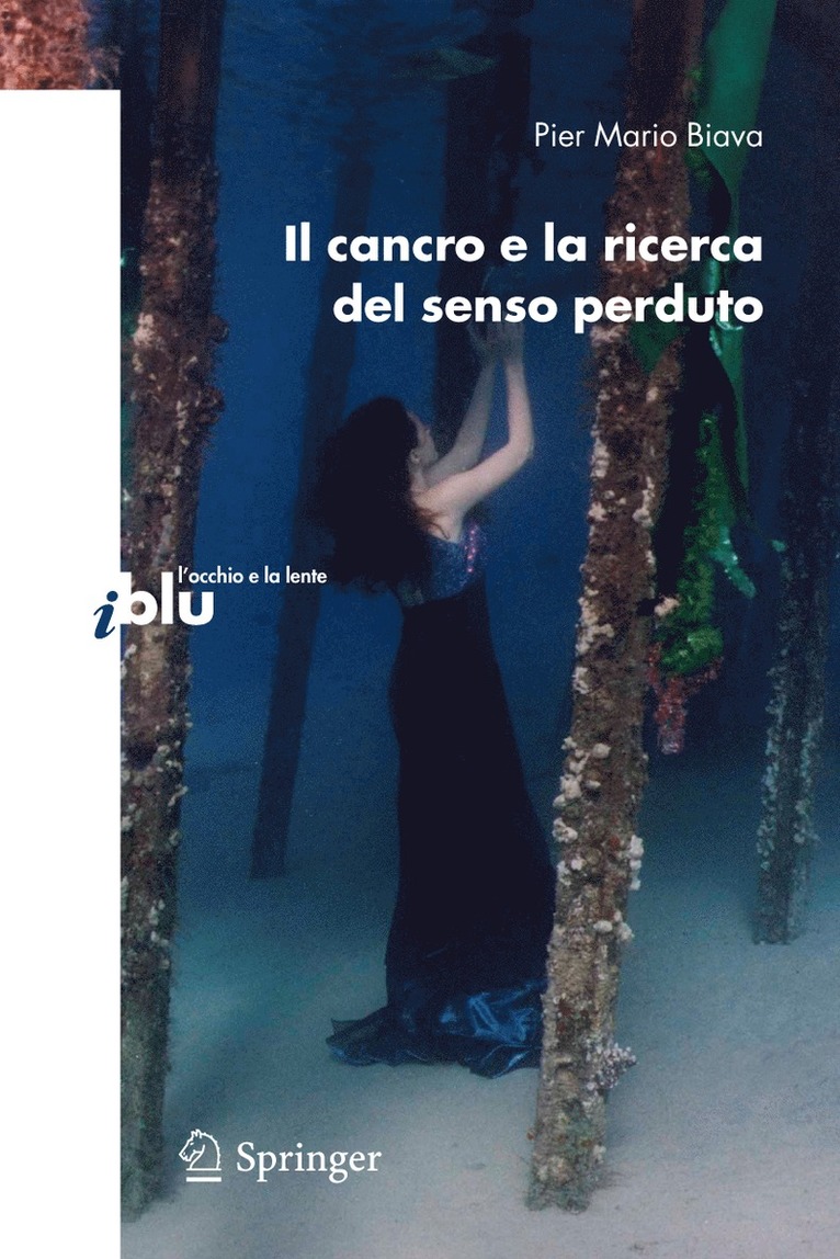 Pier Mario Biava - Il cancro e la ricerca del senso perduto, Häftad