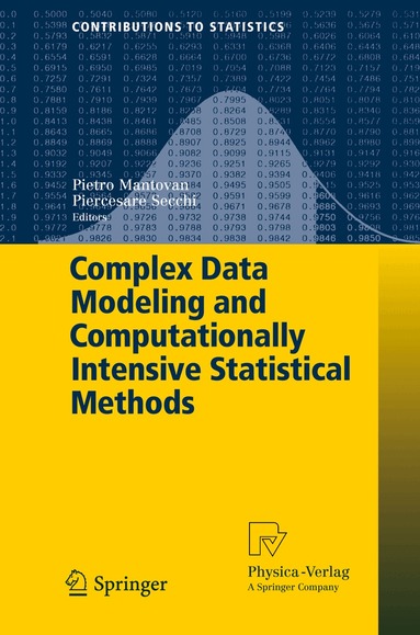 Pietro Mantovan, Piercesare Secchi - Complex Data Modeling and Computationally Intensive Statistical Methods, Inbunden
