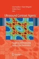 Ultrasound contrast agents 1