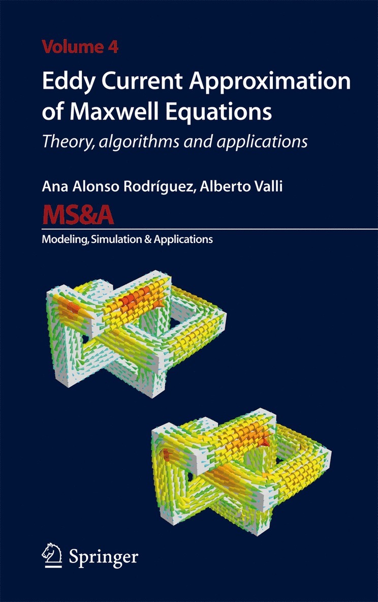 Ana Alonso Rodriguez, Alberto Valli - Eddy Current Approximation of Maxwell Equations, Inbunden