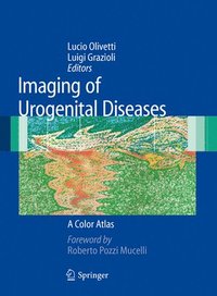 bokomslag Imaging of Urogenital Diseases