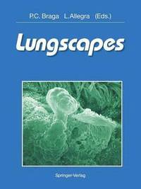 bokomslag Lungscapes