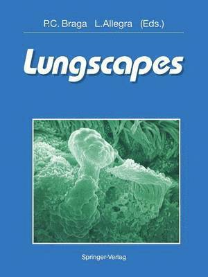 Lungscapes 1