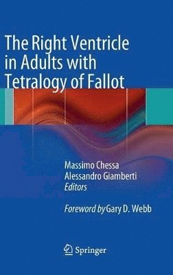 The Right Ventricle in Adults with Tetralogy of Fallot 1