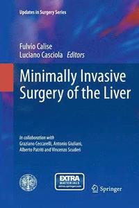 bokomslag Minimally Invasive Surgery of the Liver