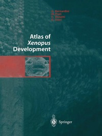 bokomslag Atlas of Xenopus Development