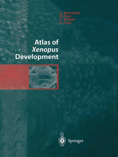 bokomslag Atlas of Xenopus Development