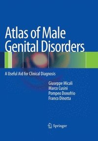 bokomslag Atlas of Male Genital Disorders