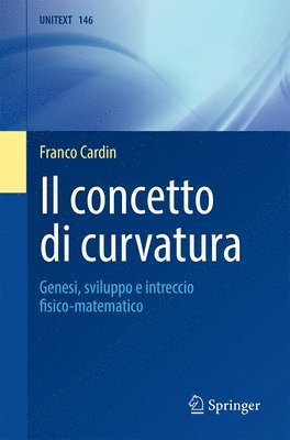 bokomslag Il concetto di curvatura