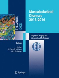 bokomslag Musculoskeletal Diseases 2013-2016