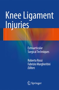 bokomslag Knee Ligament Injuries