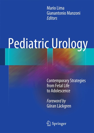 bokomslag Pediatric Urology