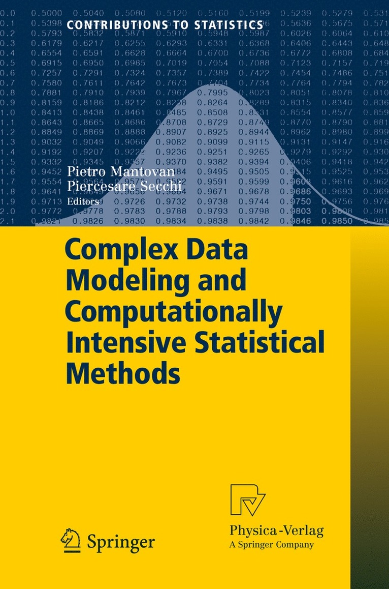 Pietro Mantovan, Piercesare Secchi - Complex Data Modeling and Computationally Intensive Statistical Methods, Häftad