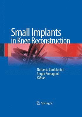 bokomslag Small Implants in Knee Reconstruction