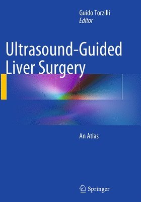 bokomslag Ultrasound-Guided Liver Surgery