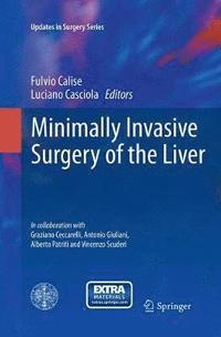 bokomslag Minimally Invasive Surgery of the Liver