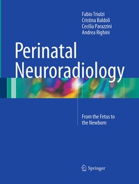 bokomslag Perinatal Neuroradiology