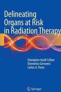 bokomslag Delineating Organs at Risk in Radiation Therapy