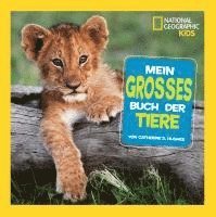 bokomslag Mein großes Buch der Tiere