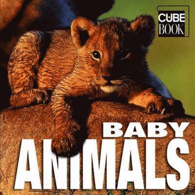 American Psychological Association - Baby Animals, Inbunden