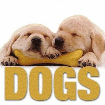 American Psychological Association - Dogs, Inbunden