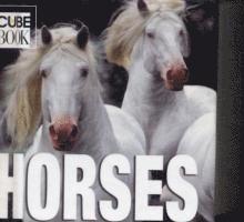 American Psychological Association - Horses (Minicube), Inbunden