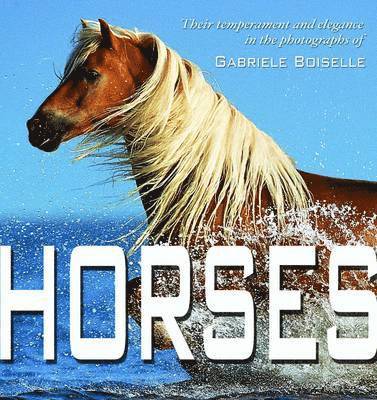 Horses