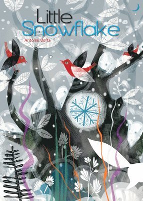Antonio Boffa - Little Snowflake, Kartonnage