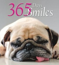 bokomslag 365 Days of Smiles