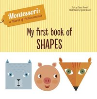 bokomslag My First Book of Shapes