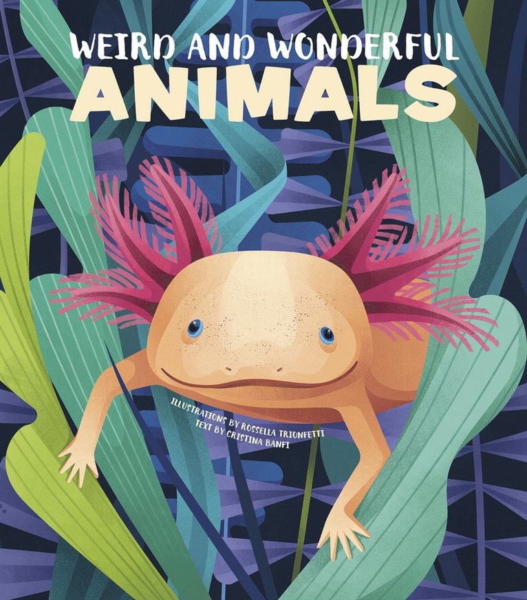 Weird and Wonderful Animals 1