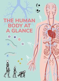 bokomslag The Human Body at a Glance