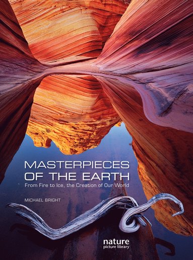 bokomslag Masterpieces of the Earth