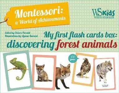 bokomslag My First Flash Cards Box: Discovering Forest Animals - Montessori World of Achievements
