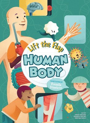 Lift the Flap: Human Body 1