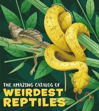 bokomslag The Amazing Catalog of Weirdest Reptiles