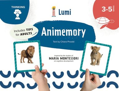 bokomslag Animemory: Thinking