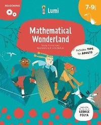 bokomslag The Mathematical Wonderland