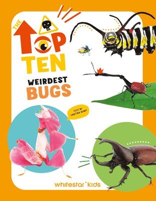 Cristina Banfi - Top Ten: Weirdest Bugs, Inbunden