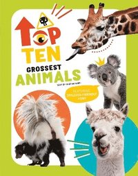 bokomslag The Top Ten: Grossest Animals