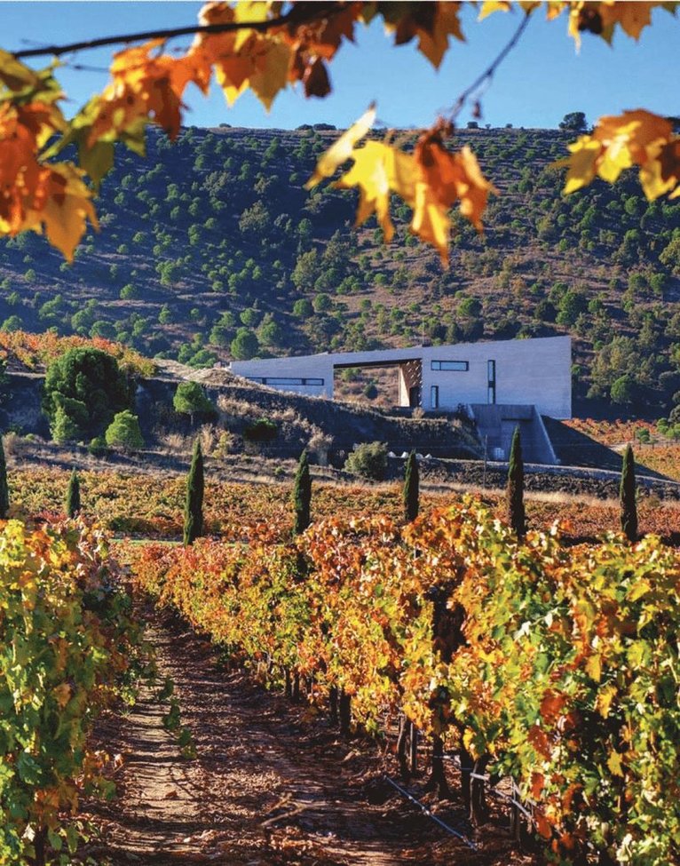 Luca Molinari, Anja Visini - World Winery Collection, Inbunden
