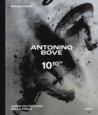 bokomslag Antonino Bove 1010123